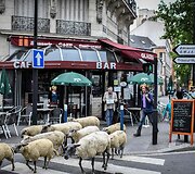 Avys Aubervilliers rajone