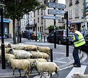 Avys Aubervilliers rajone