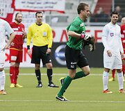Kiaunė futbolo stadione &Scaron;veicarijoje.