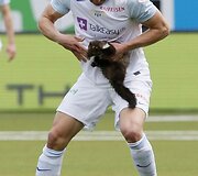 Kiaunė futbolo stadione &Scaron;veicarijoje.
