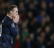 Wayne'as Rooney