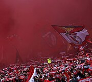 &bdquo;Benfica&ldquo; sirgalių džiaugsmas