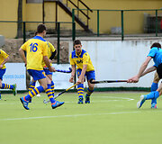 Žolės riedulio taurės varžybos