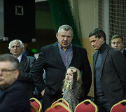 Imtynės