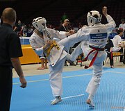 Lietuviai Europos karatė čempionate
