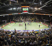 &Scaron;iaulių arena