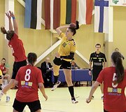 Janio Grinbergo atminimo turnyras