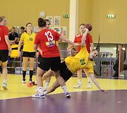 Janio Grinbergo atminimo turnyras