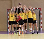 Janio Grinbergo atminimo turnyras