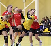 Janio Grinbergo atminimo turnyras
