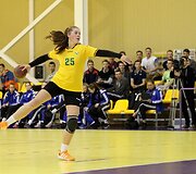 Janio Grinbergo atminimo turnyras