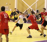 Janio Grinbergo atminimo turnyras