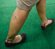 Tatuiruotė