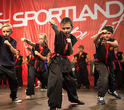 Sporto festivalis