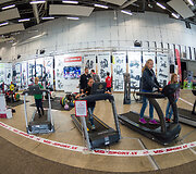 Sporto festivalis