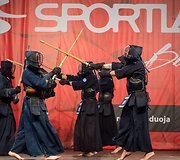 Sporto festivalis