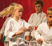 Sporto festivalis