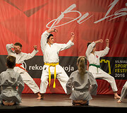 Sporto festivalis