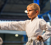 Sporto festivalis