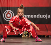 Sporto festivalis