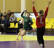 Janio Grinbergo rankinio turnyras