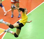 Janio Grinbergo rankinio turnyras