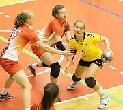 Janio Grinbergo rankinio turnyras