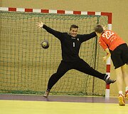 Janio Grinbergo rankinio turnyras