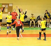 Janio Grinbergo rankinio turnyras