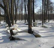 Įkrauk.lt nuotrauka