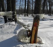 Įkrauk.lt nuotrauka