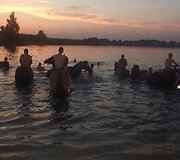Įkrauk.lt nuotrauka