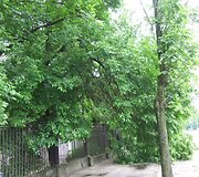 Įkrauk.lt nuotrauka
