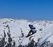 Vytautas Vaičaitis