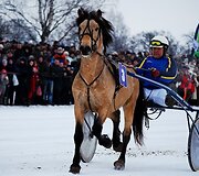 Nuotraukos pavadinimas