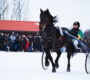 Nuotraukos pavadinimas