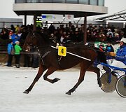 Nuotraukos pavadinimas