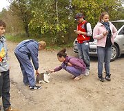 Nuotraukos pavadinimas
