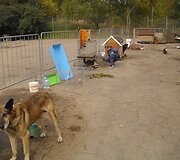 Nuotraukos pavadinimas