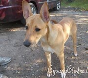 Nuotraukos pavadinimas
