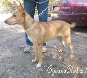 Nuotraukos pavadinimas