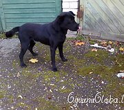 Nuotraukos pavadinimas