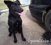 Nuotraukos pavadinimas