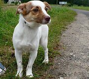 Nuotraukos pavadinimas
