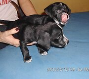 Nuotraukos pavadinimas