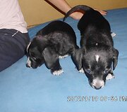 Nuotraukos pavadinimas