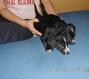 Nuotraukos pavadinimas