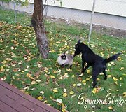Nuotraukos pavadinimas