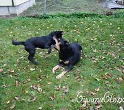Nuotraukos pavadinimas
