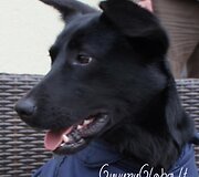 Nuotraukos pavadinimas